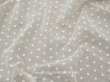 画像1: アンティーク  小さな花刺繍入り コットンオーガンジー 生成り＆ホワイト ファブリック 90cm幅 (1)