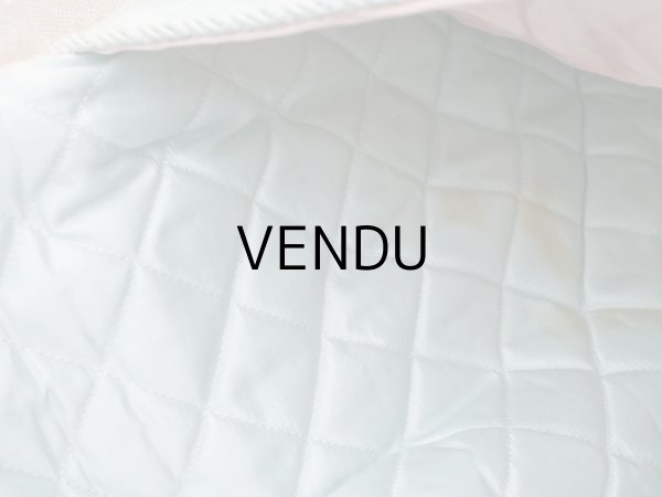 画像25: アンティーク ハンキーケース モノグラム＆草花のホワイトワーク ハンカチ用ポシェット シルクサテン＆レース  (25)