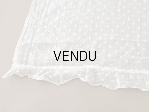 画像7: アンティーク  ドット刺繍入り コットンオーガンジー オフホワイト ファブリック 140×48cm (7)