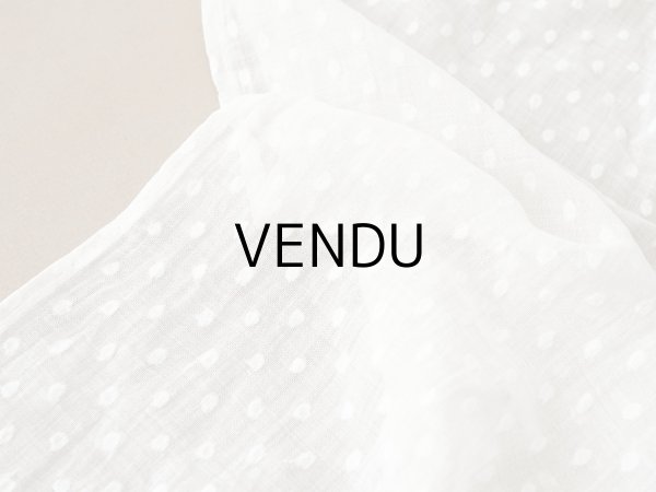 画像4: アンティーク  ドット刺繍入り コットンオーガンジー オフホワイト ファブリック 140×48cm (4)