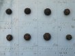 画像4: 19世紀 アンティーク小さなくるみボタンのサンプラー 80ピース (4)