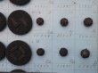 画像11: 19世紀 アンティーク小さなくるみボタンのサンプラー 80ピース (11)