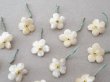画像9: アンティーク 勿忘草 ベルベットの布花  アイボリー 13ピースのセット 14mm (9)