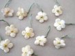 画像3: アンティーク 勿忘草 ベルベットの布花  アイボリー 13ピースのセット 14mm (3)