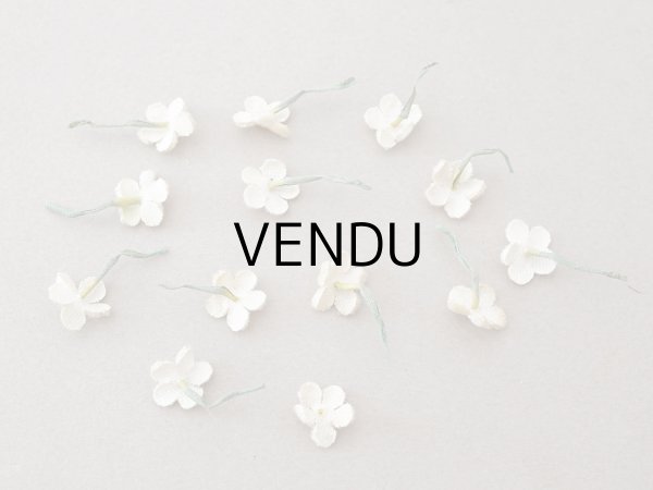 画像10: アンティーク 勿忘草 ベルベットの布花  アイボリー 13ピースのセット 14mm (10)