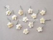 画像6: アンティーク 勿忘草 ベルベットの布花  アイボリー 13ピースのセット 14mm (6)