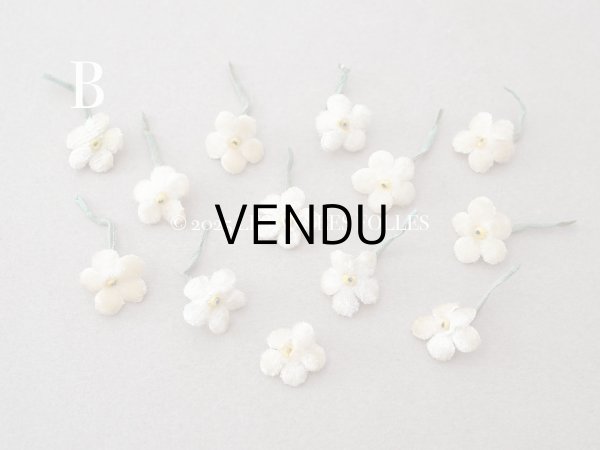 画像6: アンティーク 勿忘草 ベルベットの布花  アイボリー 13ピースのセット 14mm (6)