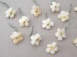 画像7: アンティーク 勿忘草 ベルベットの布花  アイボリー 13ピースのセット 14mm (7)