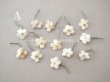画像2: アンティーク 勿忘草 ベルベットの布花  アイボリー 13ピースのセット 14mm (2)
