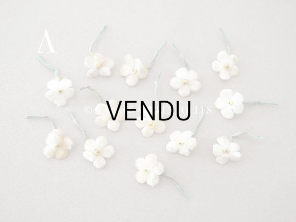 画像2: アンティーク 勿忘草 ベルベットの布花  アイボリー 13ピースのセット 14mm (2)