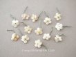 画像1: アンティーク 勿忘草 ベルベットの布花  アイボリー 13ピースのセット 14mm (1)