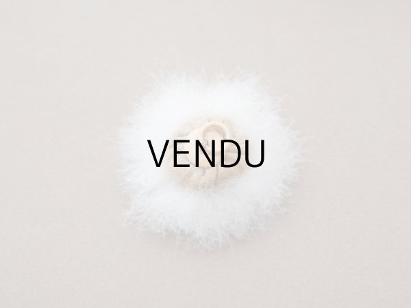 画像15: アンティーク パウダーボックス 薔薇のガーランド＆蝶々 POUDRE DE RIZ - PFELIX POTIN PARIS - (15)