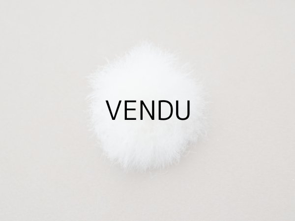 画像16: アンティーク パウダーボックス 薔薇のガーランド＆蝶々 POUDRE DE RIZ - PFELIX POTIN PARIS - (16)