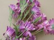 画像4: アンティーク 大きなブーケ クリザンテム 布花 ラベル付 (4)