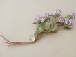 画像4: アンティーク 大きなブーケ 薄紫の小さな布花 ラベル付 (4)