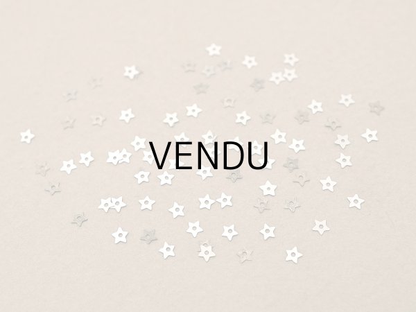 画像2: 19世紀末 アンティーク メタル製 極小 2mm 星 スパンコール 130ピースのセット シルバー (2)