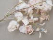 画像13: アンティーク 布花 大きなブーケ パウダーピンク (13)