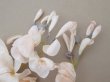 画像23: アンティーク 布花 大きなブーケ パウダーピンク (23)