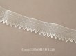 画像1: アンティークドット柄 スカラップ チュールレース 5.3cm幅 (1)