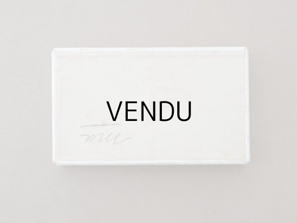 画像6: アンティーク 紙箱 写真用ガラスプレート (6)