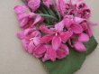 画像5: アンティーク ベルベットの菫の布花 ピンク (5)