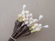 画像4: アンティーク ペップ 布花用 花芯 パステルカラー (4)