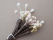 画像2: アンティーク ペップ 布花用 花芯 パステルカラー (2)