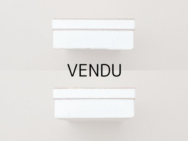 画像5: アンティーク 紙箱 写真用ガラスプレート (5)