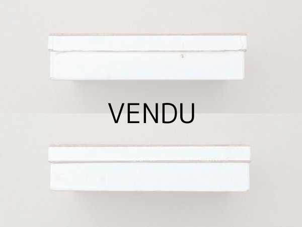 画像4: アンティーク 紙箱 写真用ガラスプレート (4)