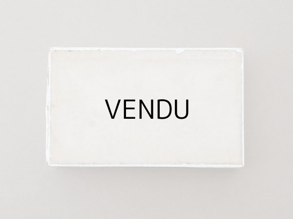 画像6: アンティーク 紙箱 写真用ガラスプレート (6)