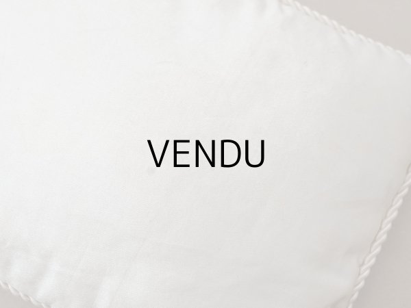 画像9: 19世紀末 アンティーク シルク製 クッション シルククッション COMPAGNIE DES INDES  (9)