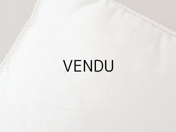 画像8: 19世紀末 アンティーク シルク製 クッション シルククッション COMPAGNIE DES INDES  (8)