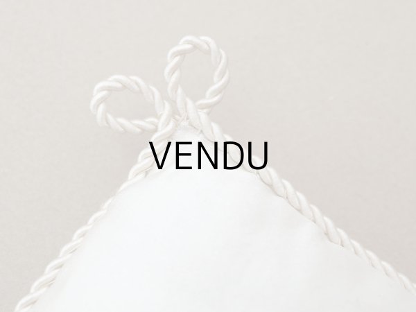 画像6: 19世紀末 アンティーク シルク製 クッション シルククッション COMPAGNIE DES INDES  (6)