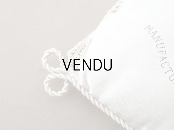 画像5: 19世紀末 アンティーク シルク製 クッション シルククッション COMPAGNIE DES INDES  (5)