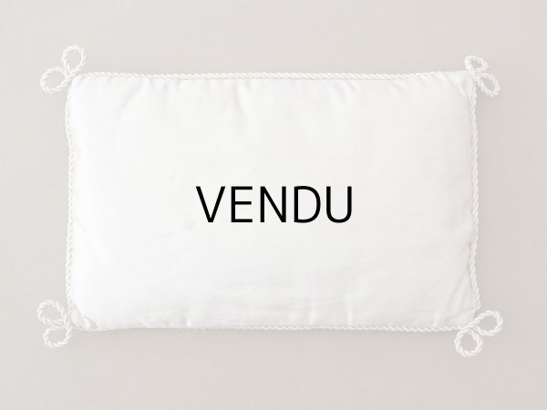 画像7: 19世紀末 アンティーク シルク製 クッション シルククッション COMPAGNIE DES INDES  (7)