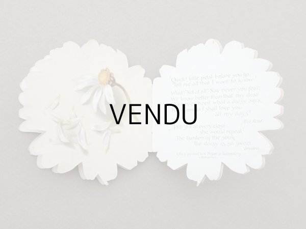 画像6: アンティーク マーガレットの小さな絵本 A MARGUERITE DAISY - E.P. DUTTON & Co - (6)