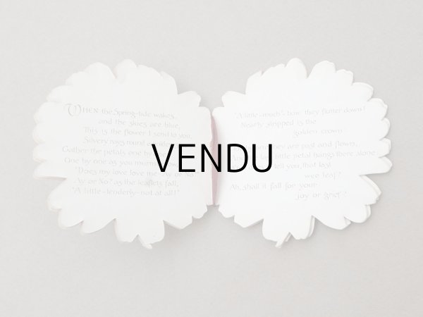 画像5: アンティーク マーガレットの小さな絵本 A MARGUERITE DAISY - E.P. DUTTON & Co - (5)