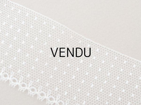 画像5: アンティーク ドット柄 チュールレース 4.6cm幅 オフホワイト (5)