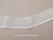 画像1: アンティーク ドット柄 チュールレース 4.6cm幅 オフホワイト (1)