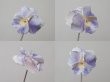 画像5: アンティーク ハットピン 菫 (5)