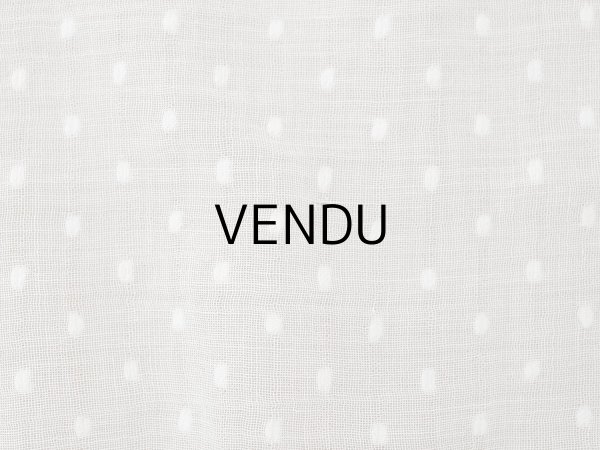 画像9: アンティーク ドット刺繍入り コットンオーガンジー  フリル付き 164×56cm (9)