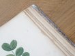 画像32: 1805年 初版 薔薇の画家 ルドゥテの植物画 65枚【 ジャン=ジャック・ルソーの植物学 】 BOTANIQUE DE J.J.ROUSSEAU (32)