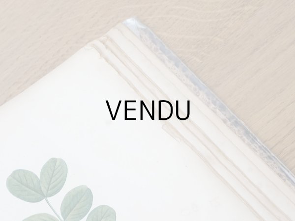 画像32: 1805年 初版 薔薇の画家 ルドゥテの植物画 65枚【 ジャン=ジャック・ルソーの植物学 】 BOTANIQUE DE J.J.ROUSSEAU (32)