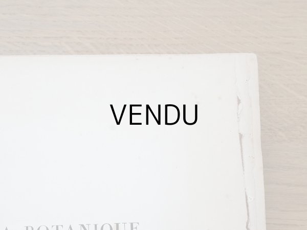 画像3: 1805年 初版 薔薇の画家 ルドゥテの植物画 65枚【 ジャン=ジャック・ルソーの植物学 】 BOTANIQUE DE J.J.ROUSSEAU (3)