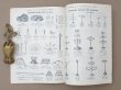 画像20: 【15周年セール対象外】1907年 アンティーク ジュエラー用 什器のカタログ - SIEGEL & Cie - (20)