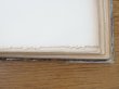 画像38: 1805年 初版 薔薇の画家 ルドゥテの植物画 65枚【 ジャン=ジャック・ルソーの植物学 】 BOTANIQUE DE J.J.ROUSSEAU (38)