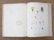 画像17: 1805年 初版 薔薇の画家 ルドゥテの植物画 65枚【 ジャン=ジャック・ルソーの植物学 】 BOTANIQUE DE J.J.ROUSSEAU (17)