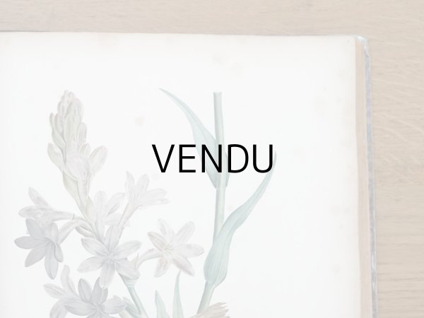 画像16: 1805年 初版 薔薇の画家 ルドゥテの植物画 65枚【 ジャン=ジャック・ルソーの植物学 】 BOTANIQUE DE J.J.ROUSSEAU (16)