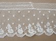画像15: 19世紀 未使用 アンティーク アランソンレース 花模様 3.3m 6cm幅 ニードルレース (15)