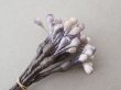 画像4: アンティーク ペップ 布花用 花芯 グレイッシュパープル (4)